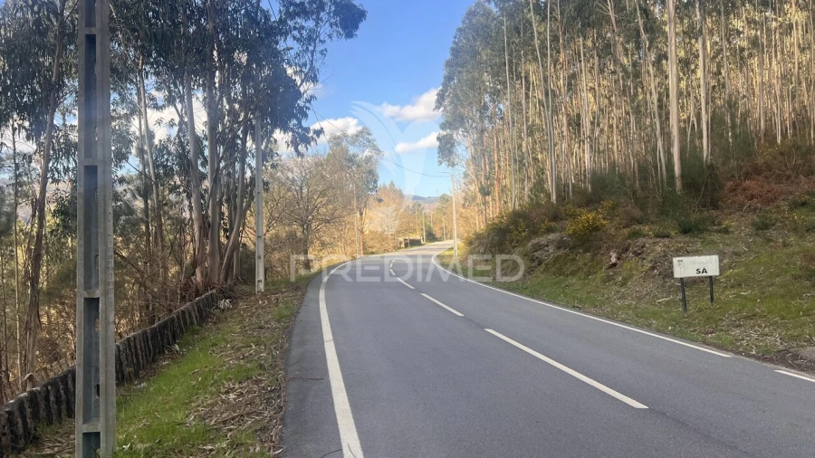 Terreno para Venda em Vilela, São Cosme e São Damião e Sá Foto 29