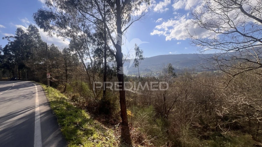 Terreno para Venda em Vilela, São Cosme e São Damião e Sá Foto 27