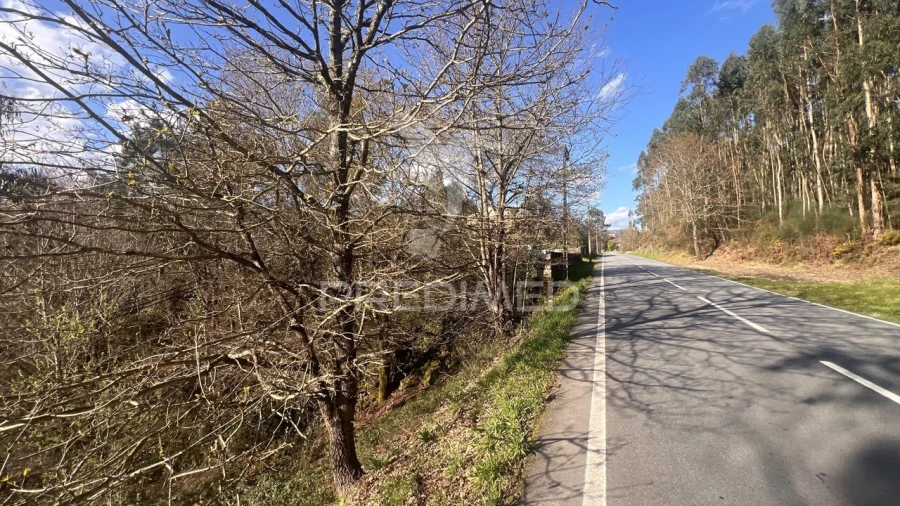 Terreno para Venda em Vilela, São Cosme e São Damião e Sá Foto 6