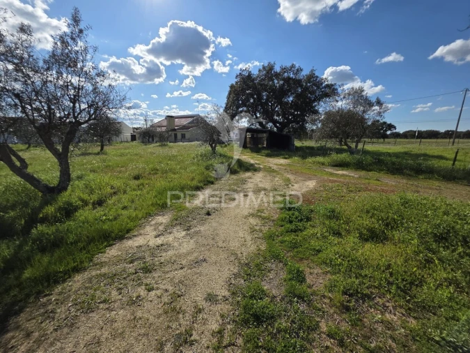 Moradia T3 para Venda em Grândola e Santa Margarida da Serra Foto 39
