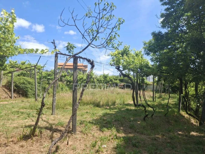 Terreno para Venda em Vila Garcia, Aboim e Chapa Foto 24