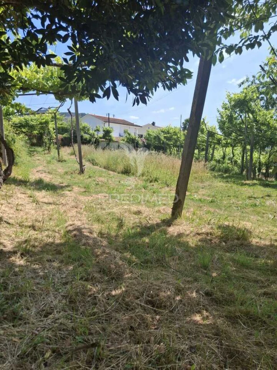 Terreno para Venda em Vila Garcia, Aboim e Chapa Foto 20