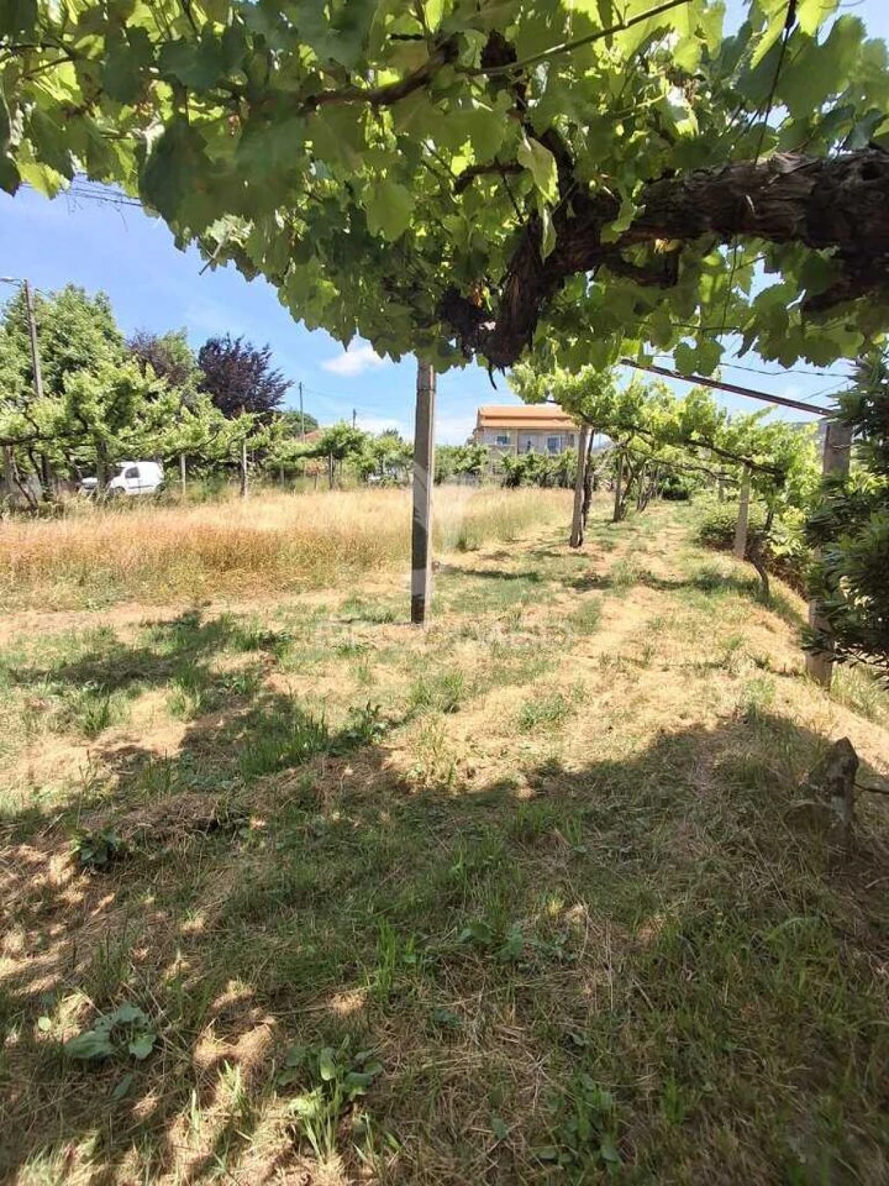 Terreno para Venda em Vila Garcia, Aboim e Chapa Foto 23