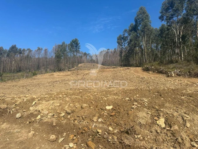 Terreno para Venda em Vila Cova da Lixa e Borba de Godim Foto 3