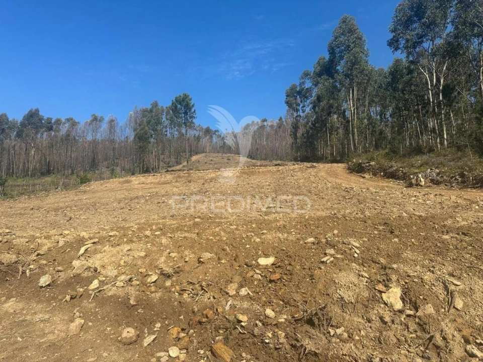 Terreno para Venda em Vila Cova da Lixa e Borba de Godim Foto 3