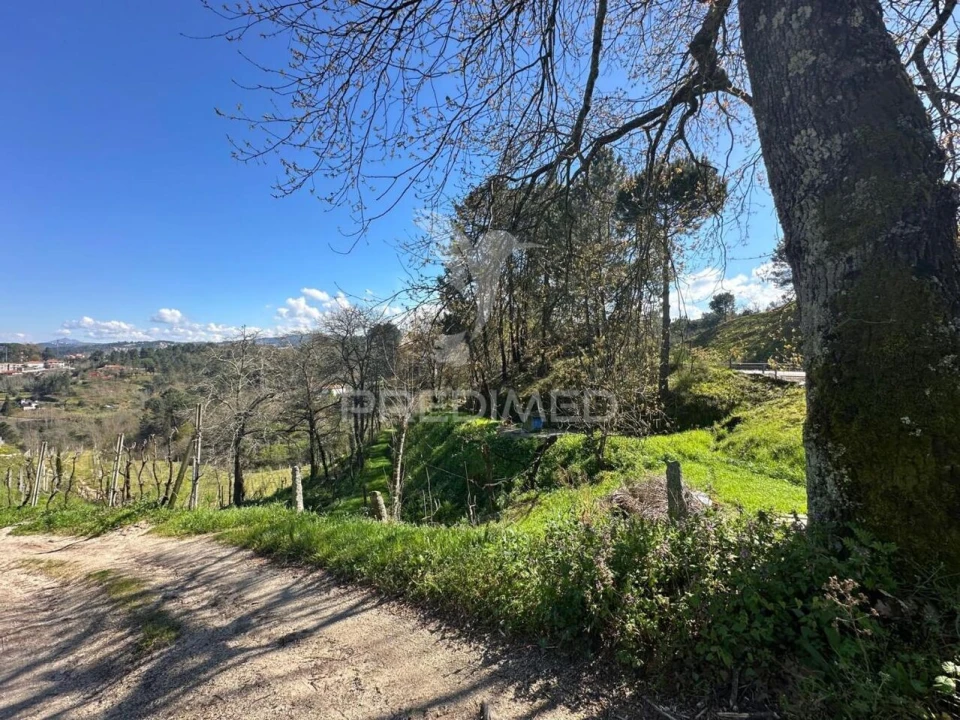Terreno para Venda em Amarante (São Gonçalo), Madalena, Cepelos e Gatão Foto 4