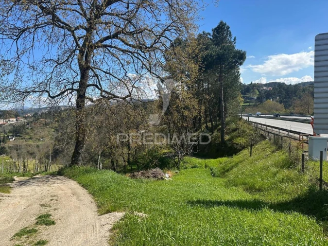 Terreno para Venda em Amarante (São Gonçalo), Madalena, Cepelos e Gatão Foto 5