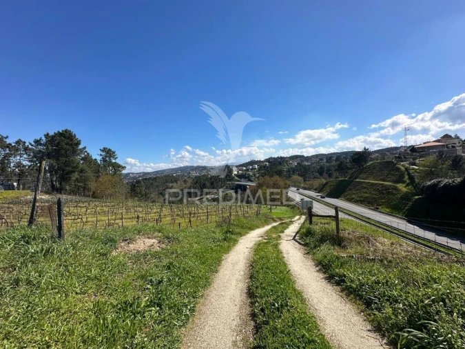 Terreno para Venda em Amarante (São Gonçalo), Madalena, Cepelos e Gatão Foto 7