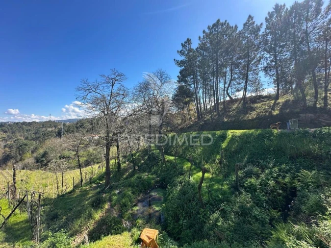 Terreno para Venda em Amarante (São Gonçalo), Madalena, Cepelos e Gatão Foto 2