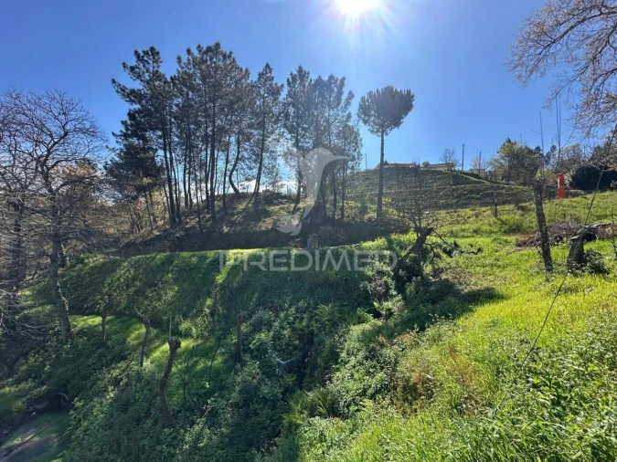 Terreno para Venda em Amarante (São Gonçalo), Madalena, Cepelos e Gatão