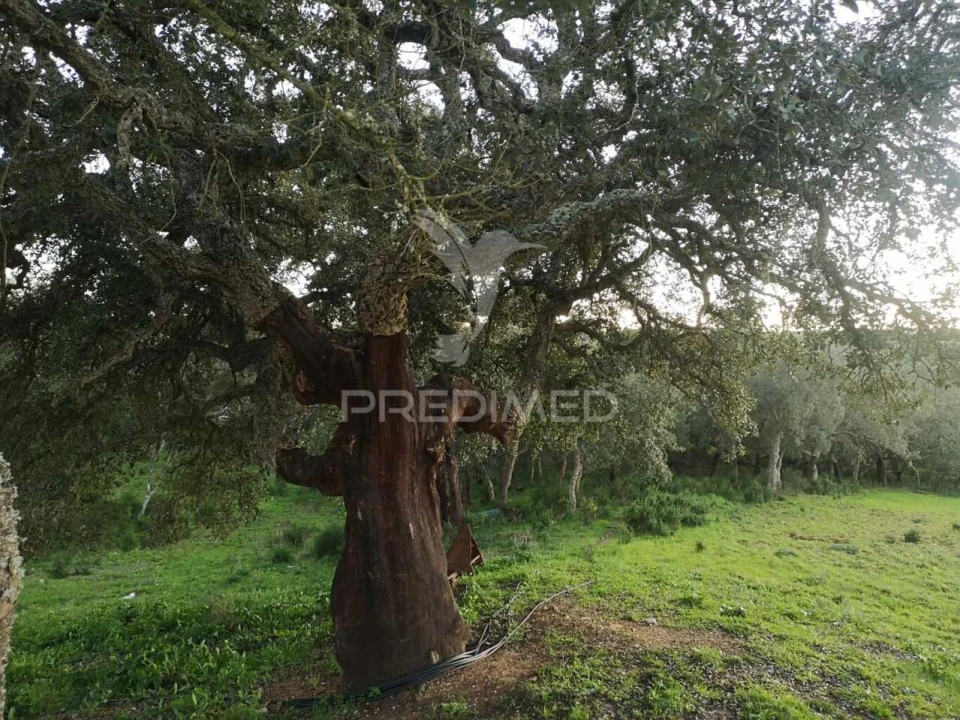 Moradia T5 para Venda em Santiago do Cacém, Santa Cruz e São Bartolomeu da Serra Foto 11