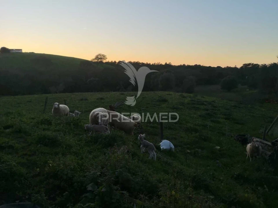 Moradia T5 para Venda em Santiago do Cacém, Santa Cruz e São Bartolomeu da Serra Foto 12