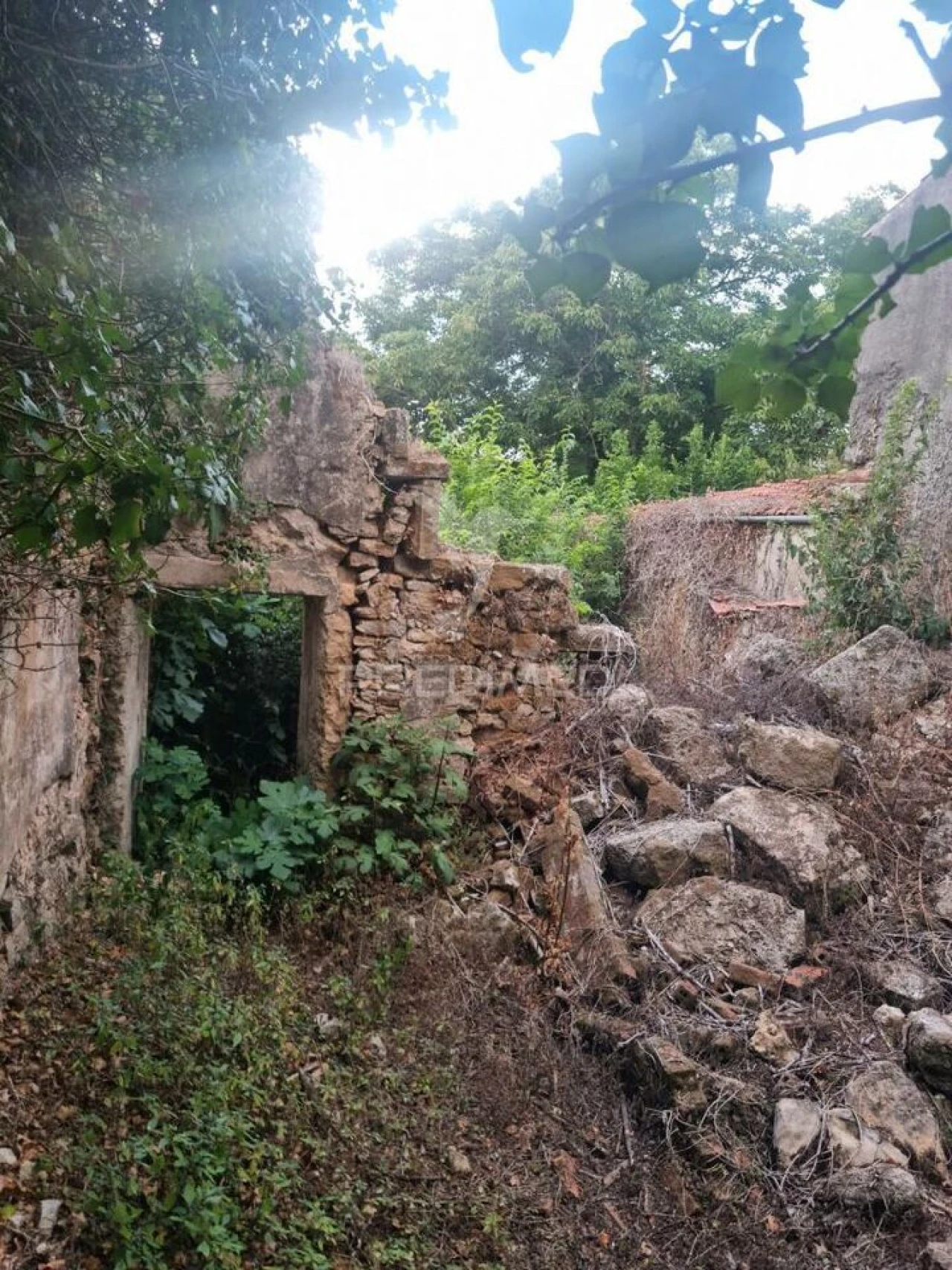 Moradia T3 para Venda em Condeixa-A-Velha e Condeixa-A-Nova Foto 9