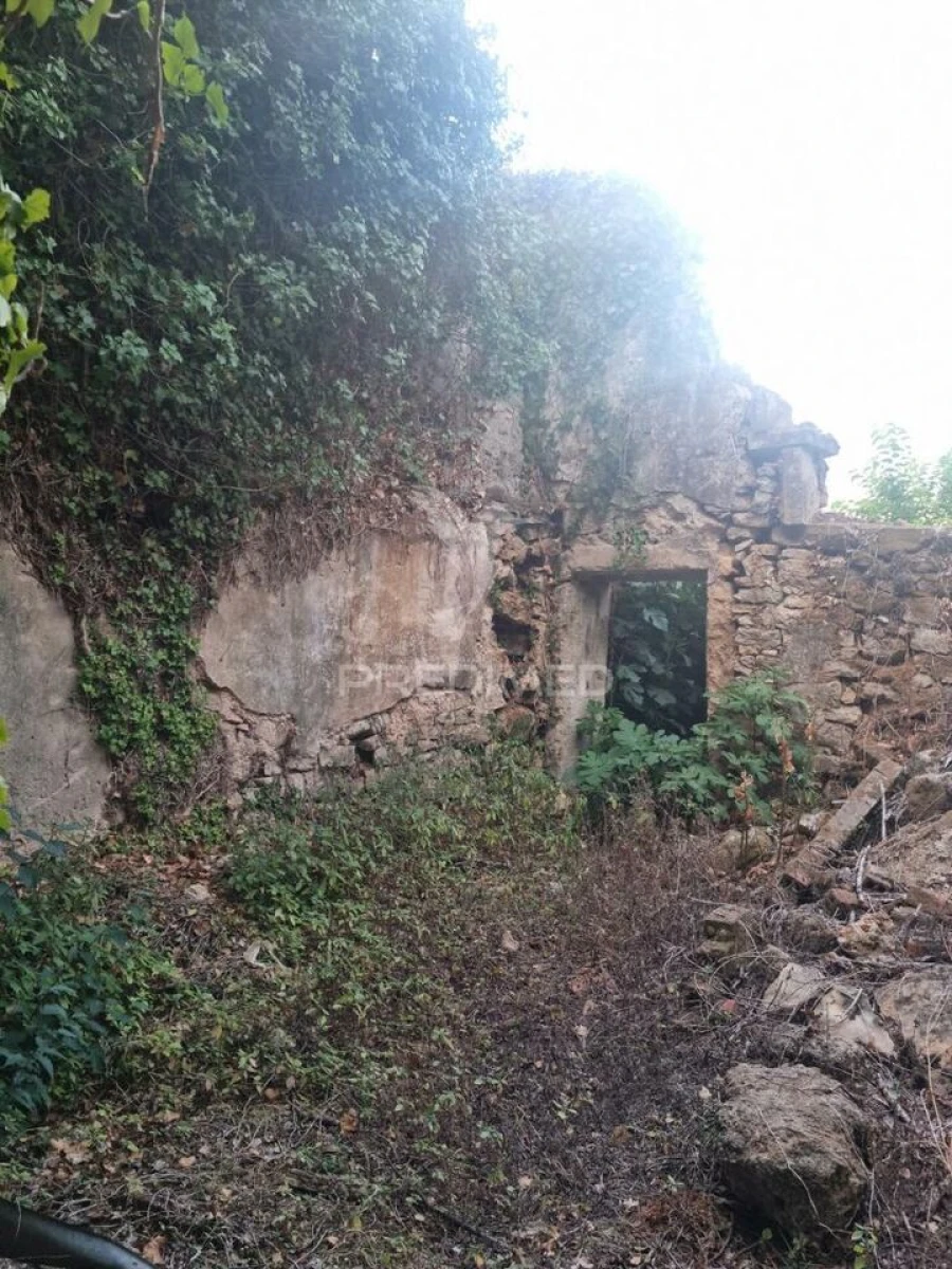 Moradia T3 para Venda em Condeixa-A-Velha e Condeixa-A-Nova Foto 7