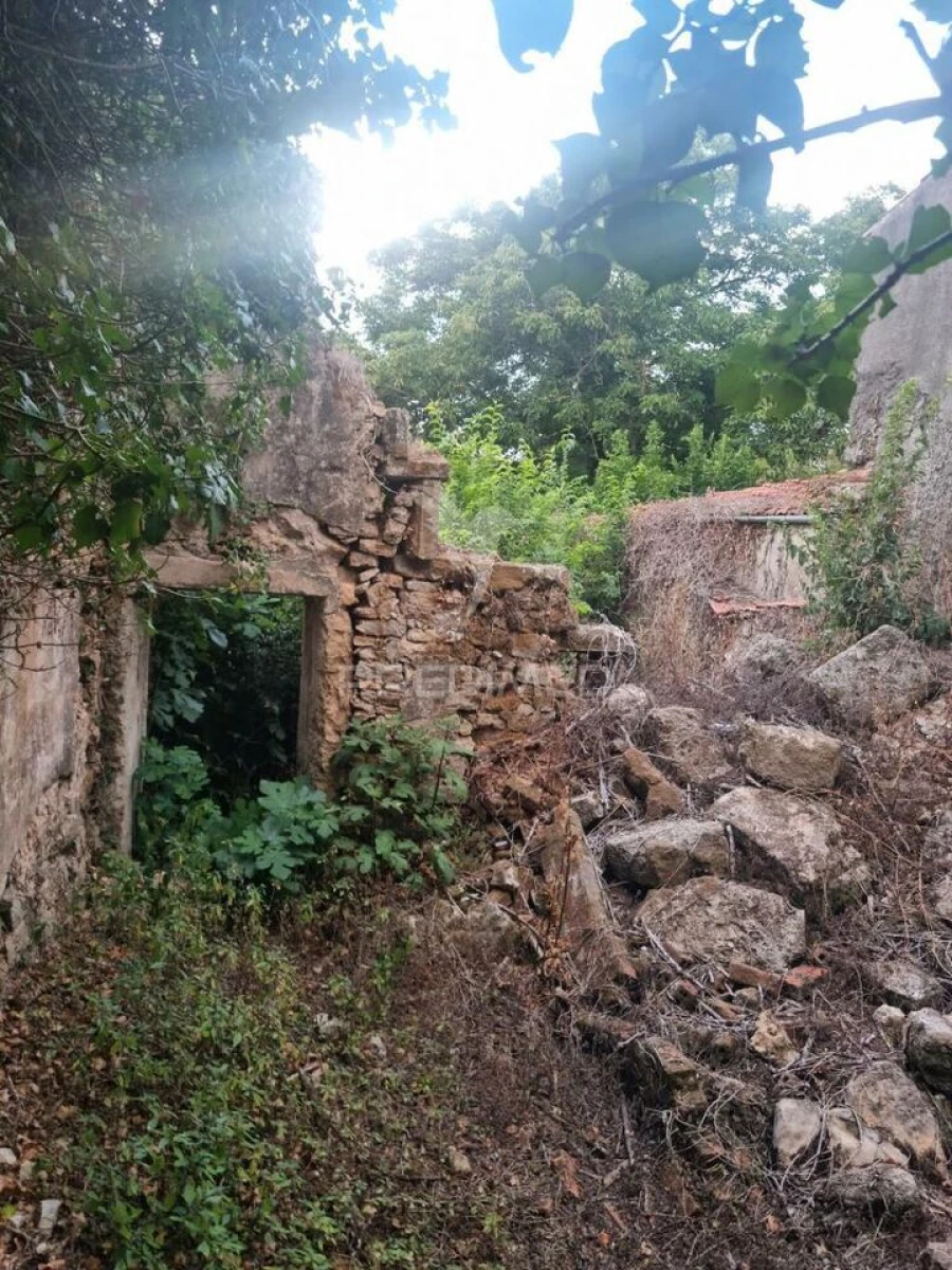 Moradia T3 para Venda em Condeixa-A-Velha e Condeixa-A-Nova Foto 9