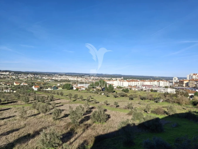 Apartamento T3 para Venda em Abrantes (São Vicente e São João) e Alferrarede Foto 11