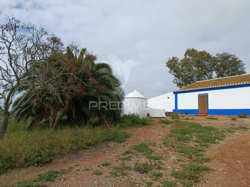 Quinta T4 para Venda em Serpa (Salvador e Santa Maria) Foto 17