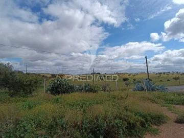 Quinta T4 para Venda em Serpa (Salvador e Santa Maria)