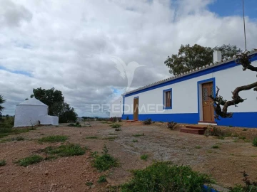 Quinta T4 para Venda em Serpa (Salvador e Santa Maria)