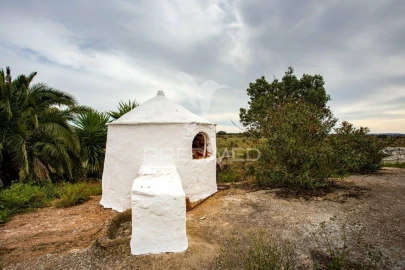 Quinta T4 para Venda em Serpa (Salvador e Santa Maria)