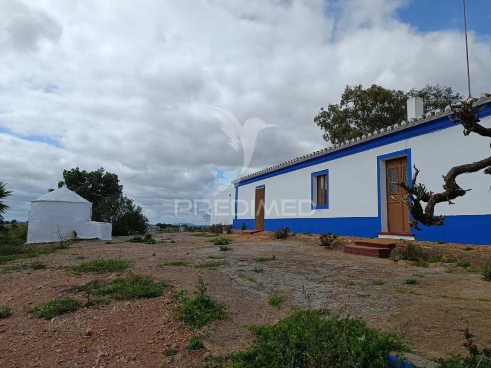 Quinta T4 para Venda em Serpa (Salvador e Santa Maria) Foto 20