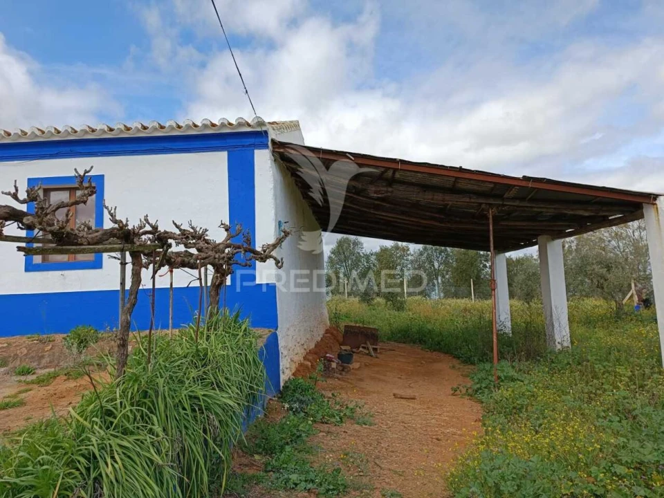 Quinta T4 para Venda em Serpa (Salvador e Santa Maria) Foto 21
