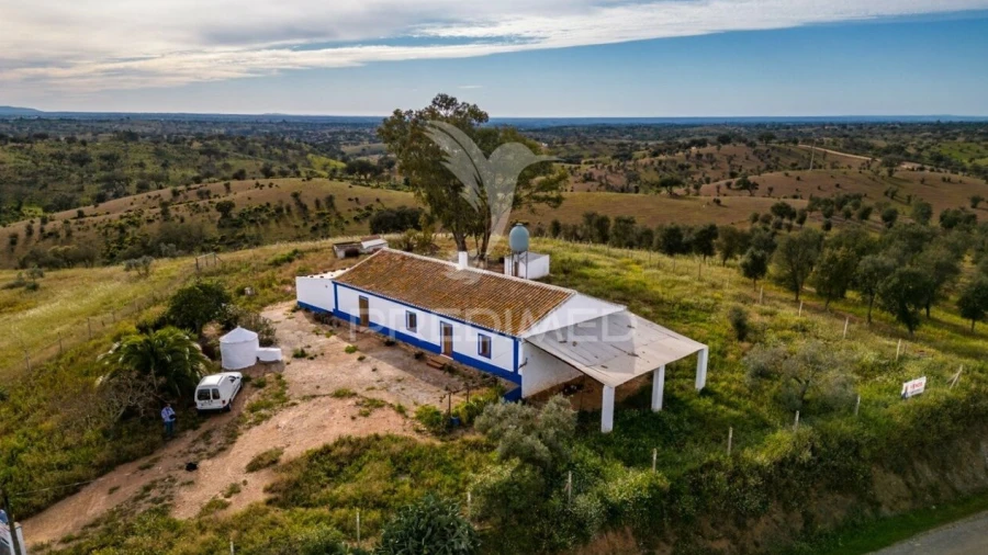 Quinta T4 para Venda em Serpa (Salvador e Santa Maria)