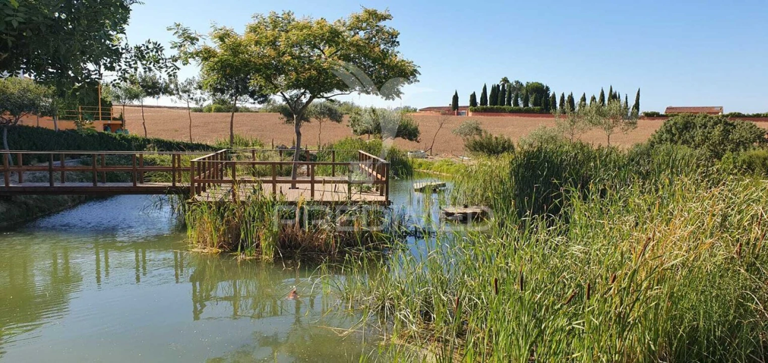 Armazém para Venda em Achete, Azoia de Baixo e Póvoa de Santarém Foto 4