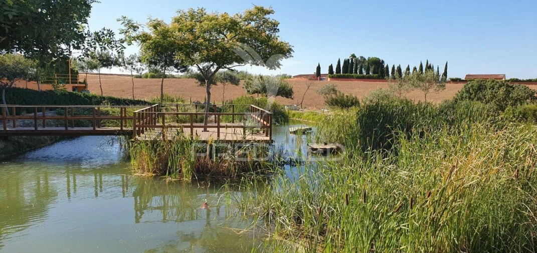 Armazém para Venda em Achete, Azoia de Baixo e Póvoa de Santarém Foto 4