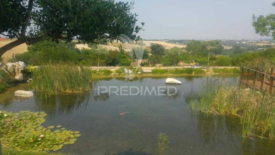 Armazém para Venda em Achete, Azoia de Baixo e Póvoa de Santarém Foto 2