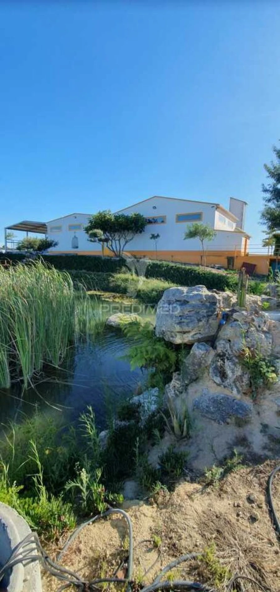 Armazém para Venda em Achete, Azoia de Baixo e Póvoa de Santarém Foto 3