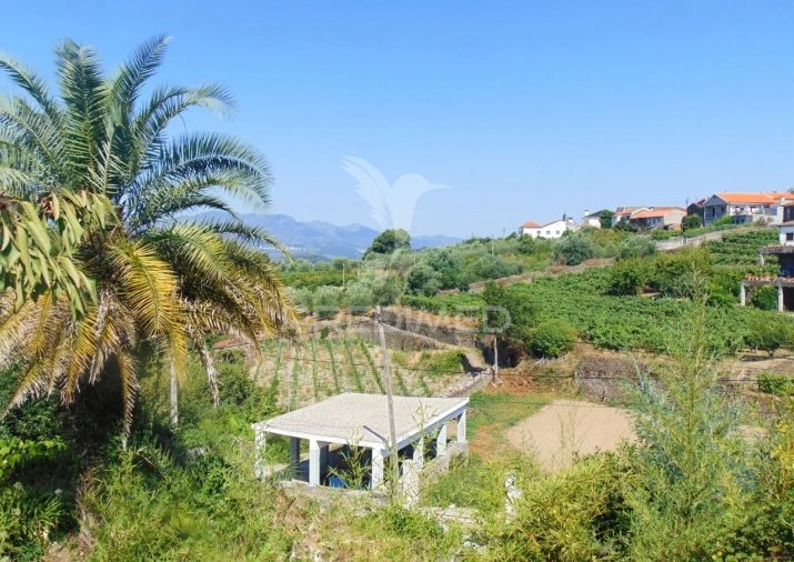 Moradia T9 para Venda em Poiares e Canelas Foto 32