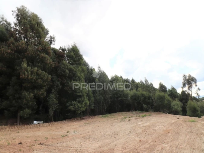 Terreno para Venda em Fânzeres e São Pedro da Cova Foto 4