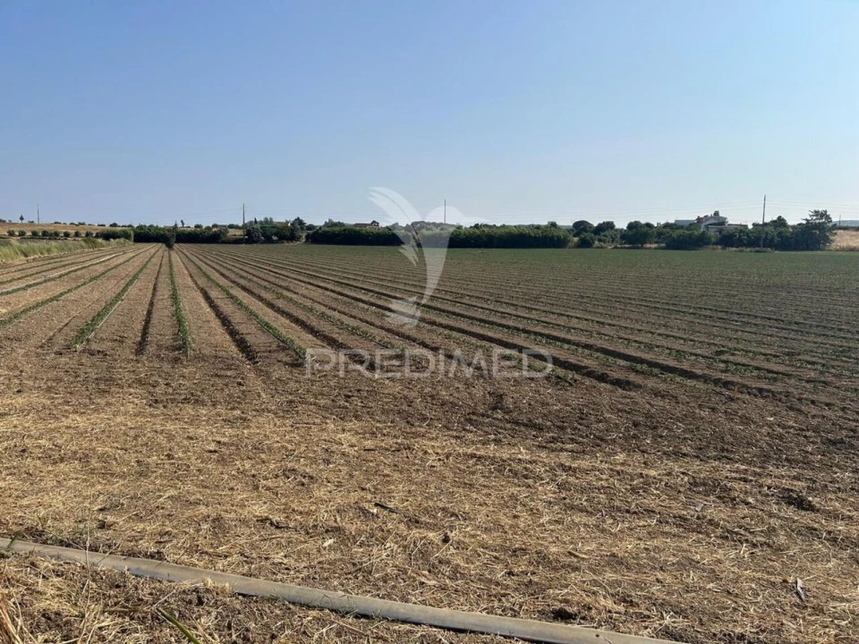 Terreno para Venda em Alenquer (Santo Estêvão e Triana) Foto 6