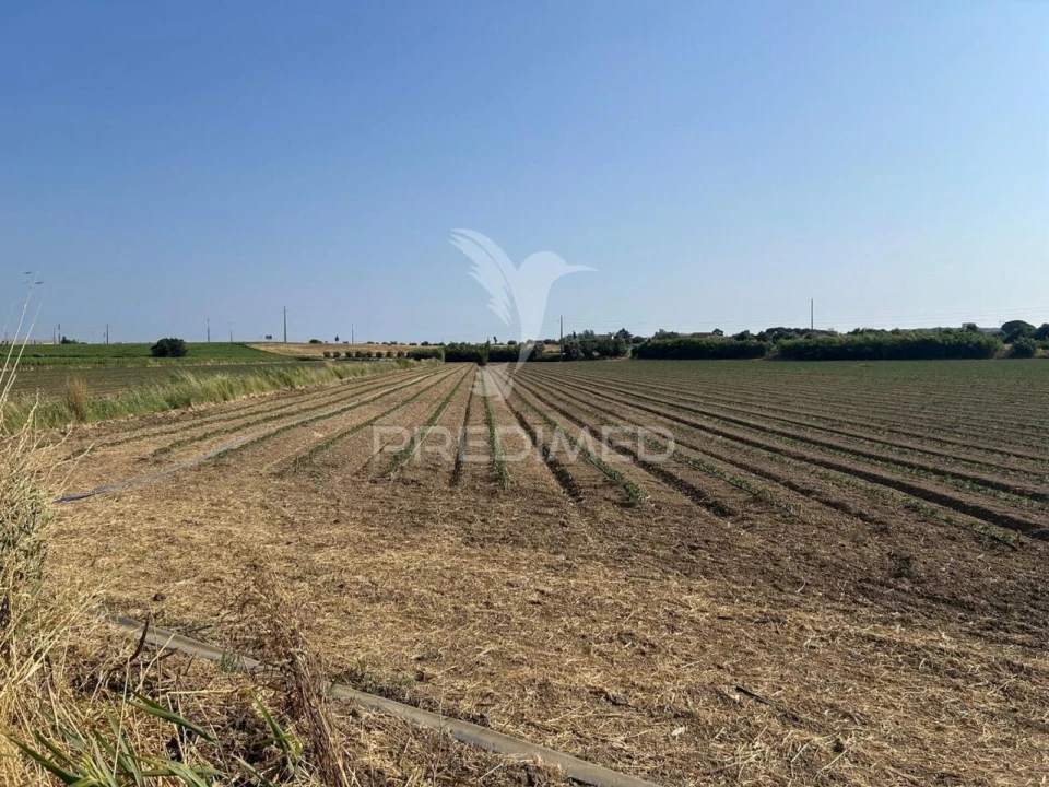 Terreno para Venda em Alenquer (Santo Estêvão e Triana) Foto 7