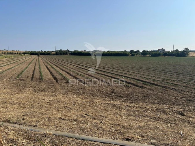 Terreno para Venda em Alenquer (Santo Estêvão e Triana) Foto 6