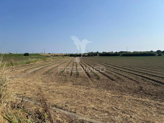Terreno para Venda em Alenquer (Santo Estêvão e Triana) Foto 7
