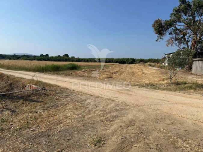 Terreno para Venda em Alenquer (Santo Estêvão e Triana) Foto 5