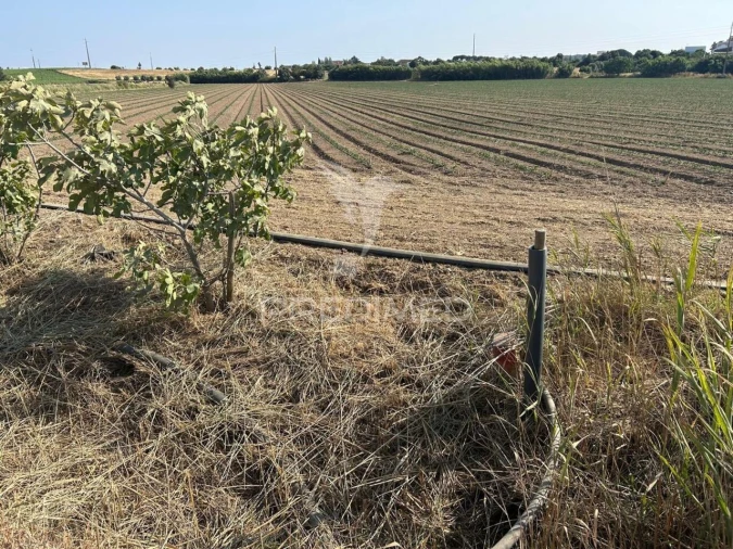 Terreno para Venda em Alenquer (Santo Estêvão e Triana) Foto 9