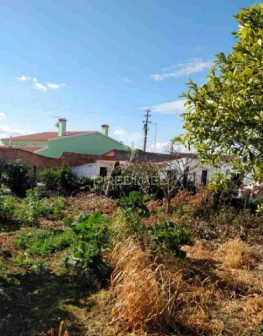 Armazém para Venda em Achete, Azoia de Baixo e Póvoa de Santarém Foto 5