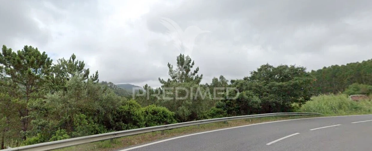 Terreno para Venda em Lamas e Cercal Foto 2