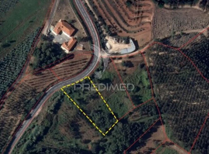 Terreno para Venda em Lamas e Cercal Foto 3