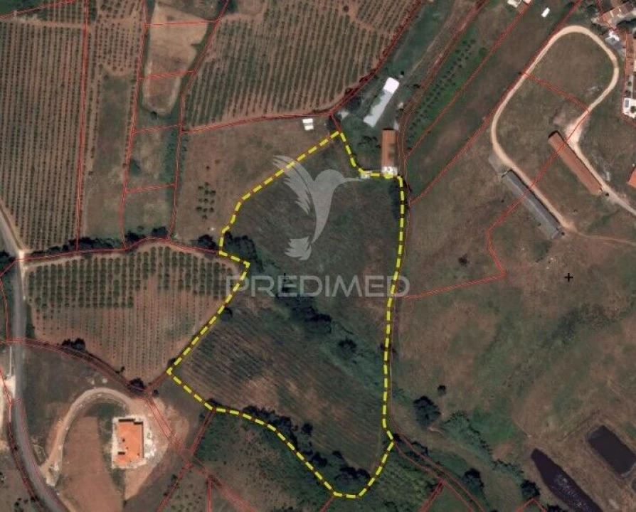 Terreno para Venda em Lamas e Cercal Foto 2