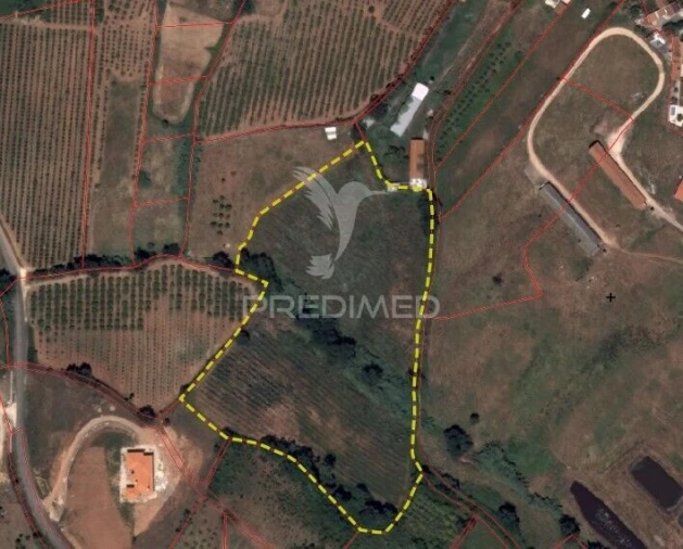 Terreno para Venda em Lamas e Cercal Foto 2