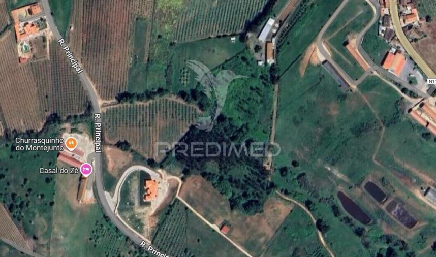 Terreno para Venda em Lamas e Cercal Foto 3