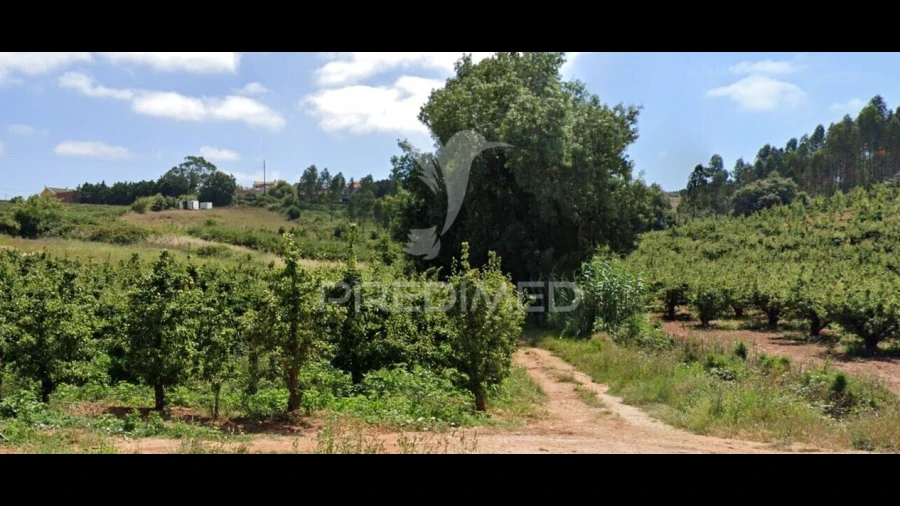 Terreno para Venda em Lamas e Cercal