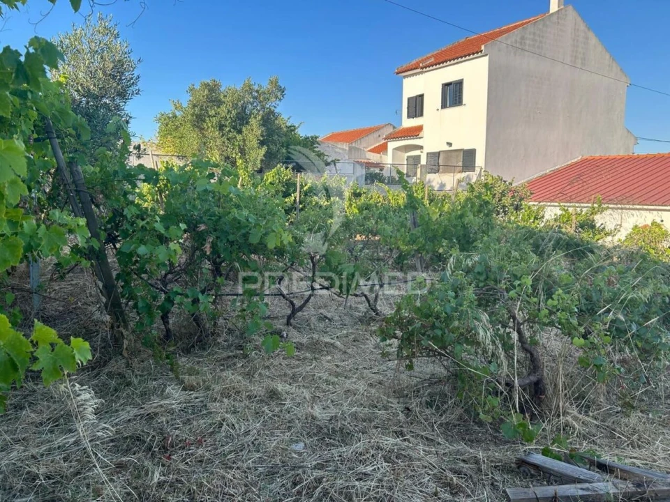 Terreno para Venda em Carregado e Cadafais Foto 3