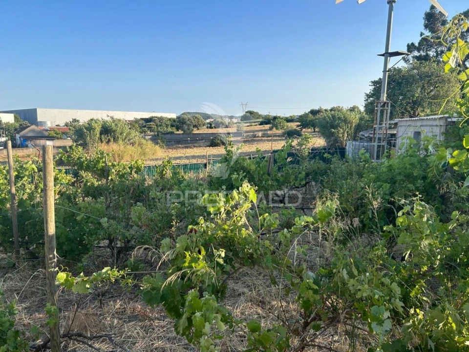 Terreno para Venda em Carregado e Cadafais Foto 2