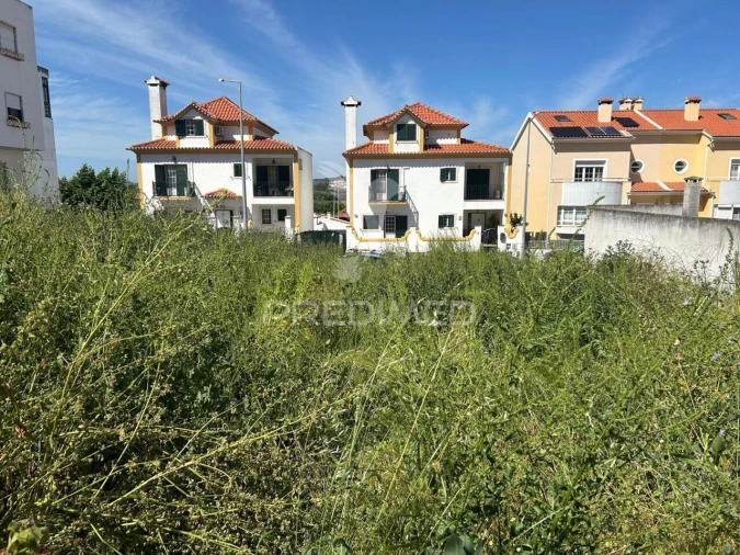 Terreno para Venda em Alenquer (Santo Estêvão e Triana) Foto 5