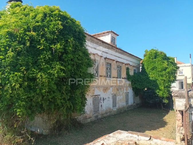 Moradia T9 para Venda em São Miguel do Rio Torto e Rossio Ao Sul do Tejo Foto 3